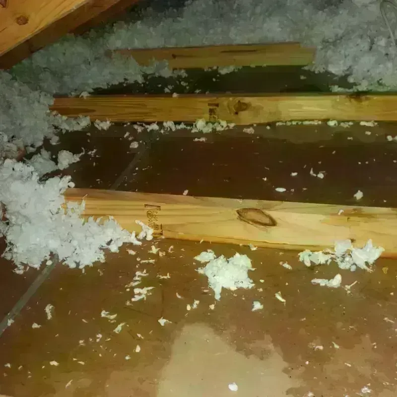 Attic Water Damage in Providence, UT